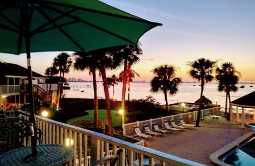 Bayview Condo | Waterfront, Private Beach, Dolphins. Flex dates.