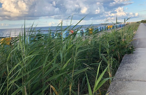 Ostseebad Kuhlungsborn Apartment | WE 1 - Villa Borussia