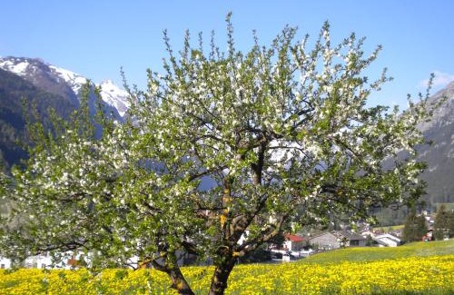 Trins House | Weberhof