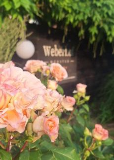 Munster Apartment | Weberhof - Münster 3