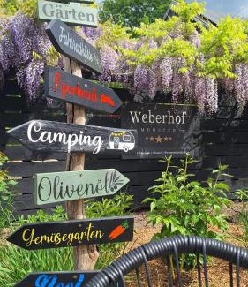 Munster Apartment | Weberhof - Münster 5