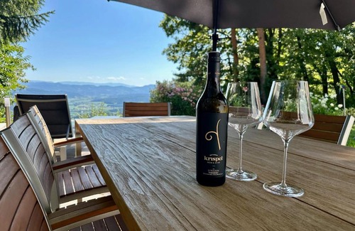 Fresing House | Weinblick Kitzeck