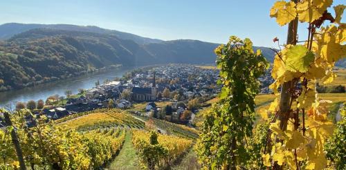 Krov Apartment | Weingut Krupka Riverside
