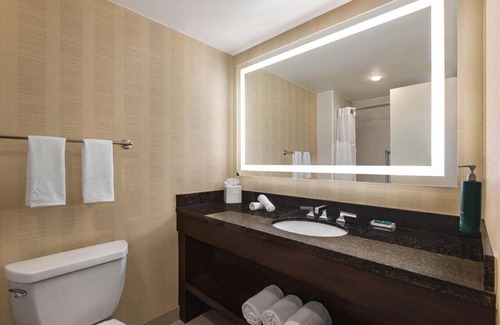 Downtown Tampa Apartment | Welcome to our exquisite hotel, where luxury meets comfort .