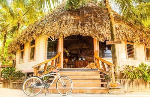 Thatch Caye Resort | Well-Appointed Overwater Bungalow w/Shared Deck & Amazing Ocean Views