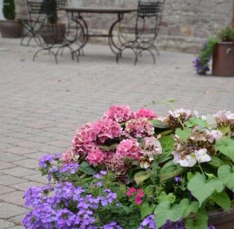 Reilingen Bed & Breakfast | Wersauer Hof - Ferme Auberge