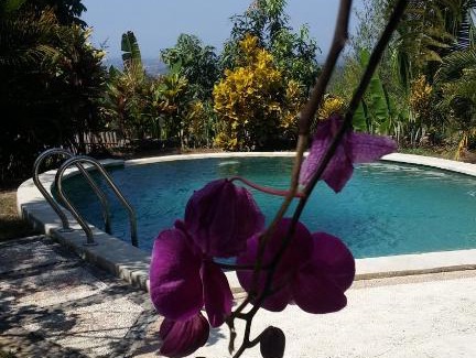 Negara House | West Bali Villas-Umasari Resort