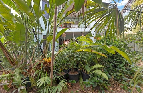 Larrakeyah Apartment | Where Enchanted Garden meets Tropical Paradise