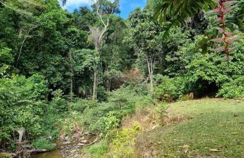 Cape Tribulation House | Where The Forest Meets The Sea