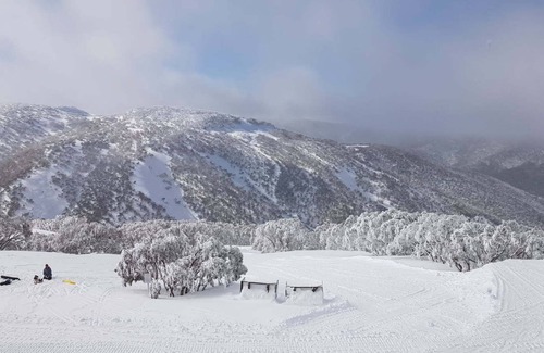 Hotham Heights Apartment | White Crystal 109- ski-in ski-out