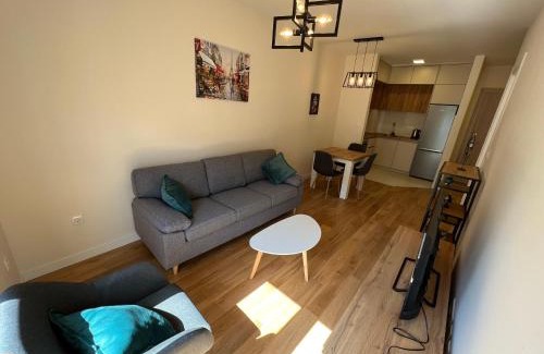 Podgorica Apartment | White Homes 49/71 - Central Point