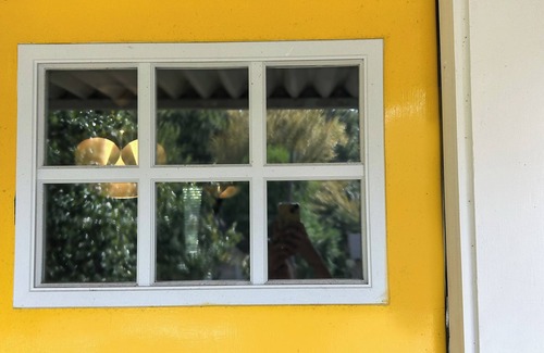 Tyler Cottage | Whole 3 Bedroom Cottage + Yard Near Medical District & Downtown Tyler