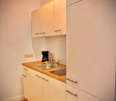 Matzleinsdorf Apartment | Wiedner Apartments