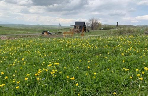 Yerevan Other | Wild Rest