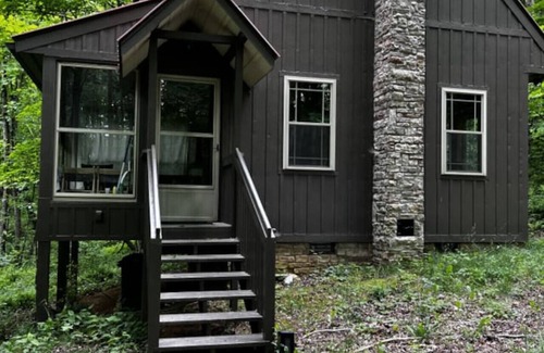Meadows Of Dan Cabin | Wildcat Forest Cabin by Buffalo Mountain Getaway