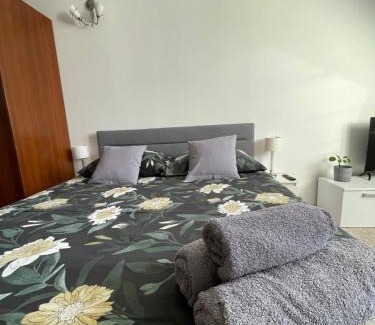 Frydman Apartment | Willa Kosówka - Frydman