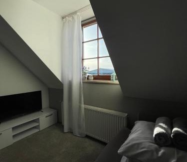 Frydman Apartment | Willa Kosówka - Frydman