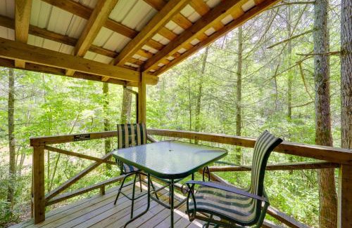 Vein Mountain House | Winter Hiking and Hot Tub Soaks! Marion Mtn Cabin