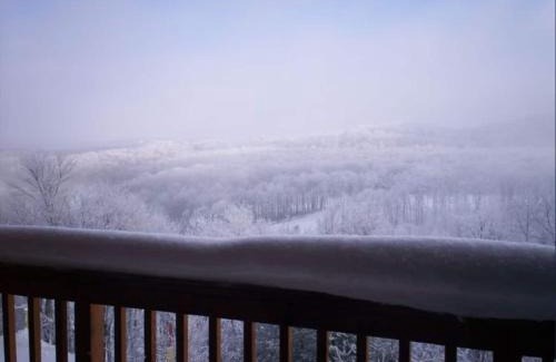 Ghent Apartment | Winterplace Ski in Ski out condo First Floor D105