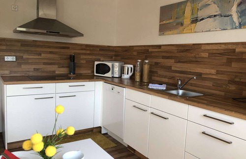 Zell Apartment | With balcony and Moselle view