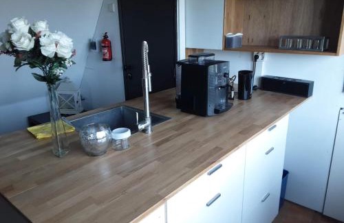 Harlingen Bed & Breakfast | WitteZwaan