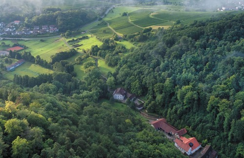 Klingenmuenster Apartment | Wohnung 2 - Weingut-gästehaus Porzelt