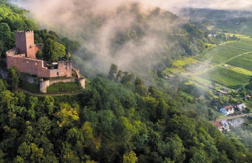 Klingenmuenster Apartment | Wohnung 2 - Weingut-gästehaus Porzelt