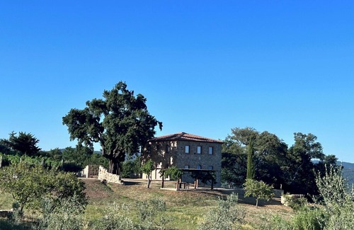 Crocina Villa | Wonderful new villa in Maremma, near Montalcino and Castiglione della Pescaia