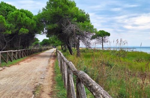 Bibione Lido del Sole Apartment | Wonderful studio apartment with terrace