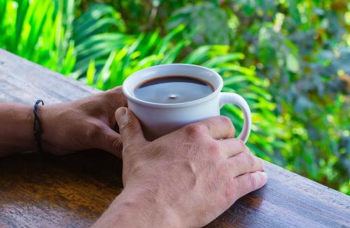 Sierra Ski Chalet | Wood cozy cabin with ocean views