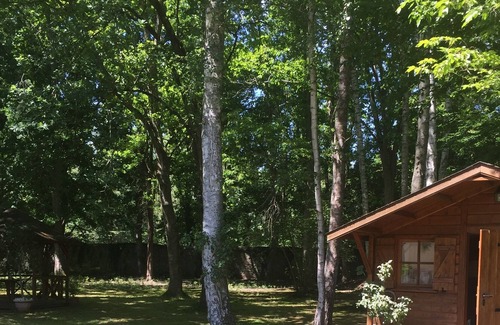 Noisy-sur-Ecole Ski Chalet | Wooden chalet in the middle of a wooded park