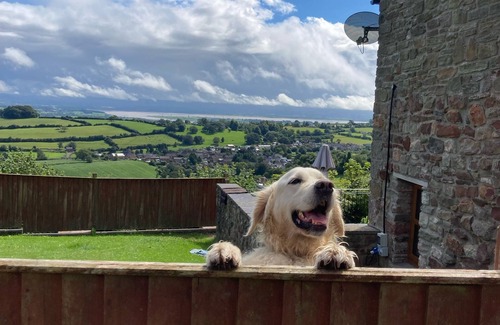 Littledean House | Woodland Barn | Dog-friendly w/hot tub and views