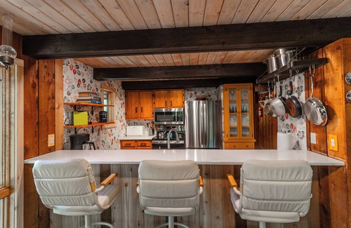 Harbor Springs Ski Chalet | Woodland Lodge: 4 BR, 3 BA Chalet in Harbor Springs, Sleeps 10