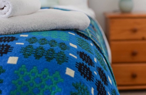 Machynlleth House | Y Llwyn in Machynlleth