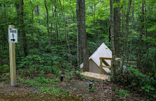 Rosman RV Rental | Yak Eco Camp - Site #5