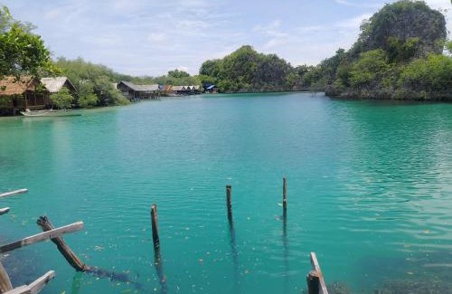 Pianemo Islands House | Yenmankankan Homestay