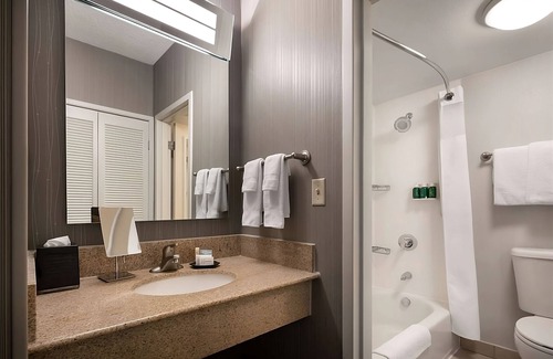 Camelback East Hotel | Your Relaxing Getaway Awaits! w/Pool, Close to Desert Storm Park and Zen Garden