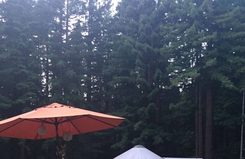 Fieldbrook House | YURT with Sauna & Treehouse set in the Redwoods & Meadows at Private Family Farm