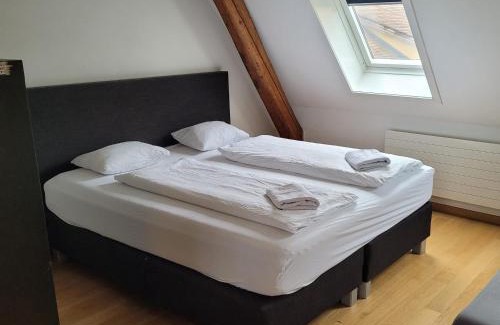 Sihlfeld House | ZüriZimmer