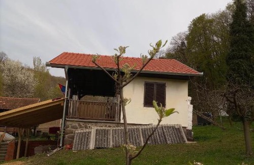 Beocin House | Zaborav