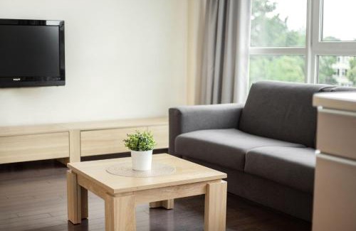 Business District Apartment | Zalgirio apartment