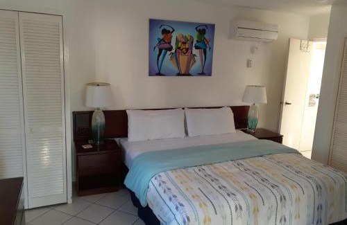 Ocho Rios Apartment | Zander's Paradise @Mystic (King)