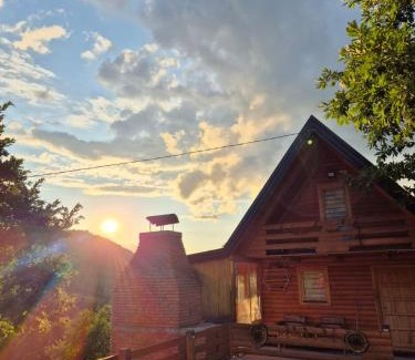 Olovo House | Zelena čarolija