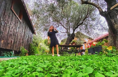 Zeytinli Hotel | Zeytindağı bungalow