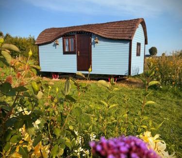 Jantar Resort | Zielona Przystań