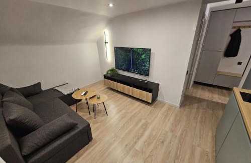 Grizinkalns Apartment | Zvaigžņu apartment