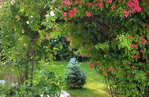 Nonntal House | Zwei-zimmer-apartment mit Balkon - Via Roma, Hotel