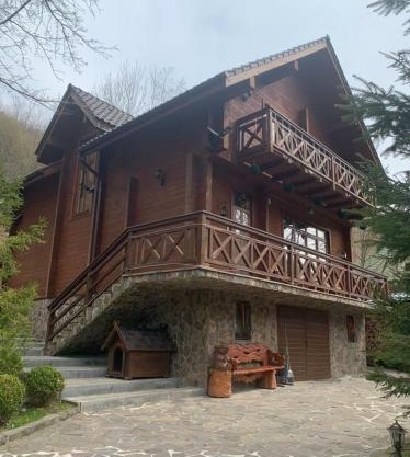 Молода Вовчиця