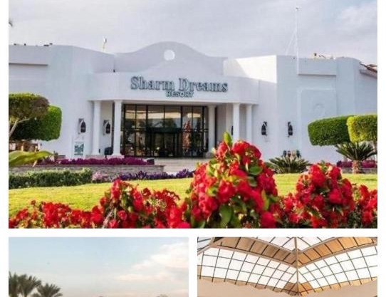 شاليه خاص اقامه مميزه شرم دريمز ٥نجوم