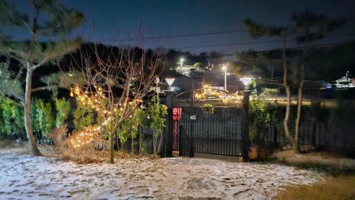 강화펫비하우스